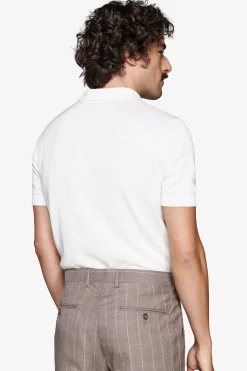 Polo in maglia basic in cotone bianca