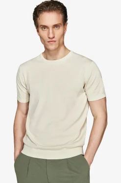 T-shirt in maglia basic in cotone ghiaccio